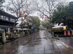 -西溪国家湿地公园