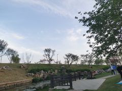 -羊山湖公园