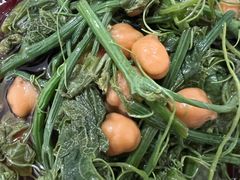 丝瓜尖-撒拉花儿·新疆菜·清真(太阳宫店)