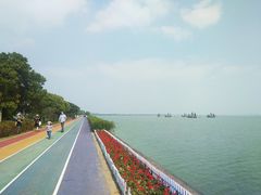 -贡湖湾湿地公园