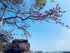 -广州莲花山旅游区
