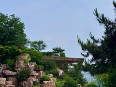 -青枫公园