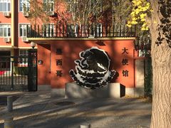 -三里屯东五街银杏大道