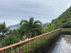 -日落吧·海景咖啡厅·餐酒吧·鸡尾酒·下午茶·乐队表演·浪漫夕阳·三亚文华东方酒店