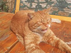 -品腐记·豆腐王朝(老门东总店)