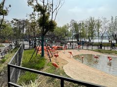 -武汉动物园
