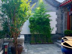 -北京古城老院厉晓麟精致菜