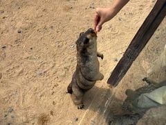 -茅山东方盐湖城景区