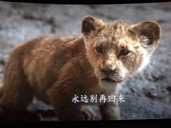 -万达影城(南海万达广场IMAX店)