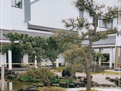 -东方艺术博物馆