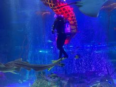 -沈阳海洋探索中心