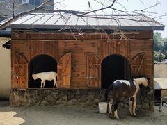 -HERRE·FARM 赫尔露营农场·团建聚会包场