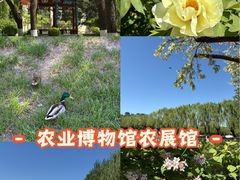 -中国农业博物馆