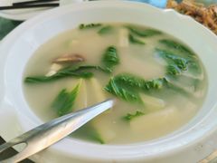 豆腐白贝清菜汤-七鲜渔港美食餐厅(巽寮湾海景店)