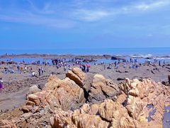 -巧克力渔家.小船海鲜胶东菜(万平口店)