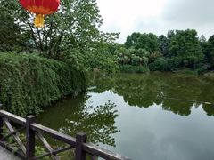 -陶然居·重庆菜(生态园店)
