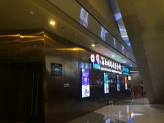 -上影国际影城(成都银泰LUXE店)