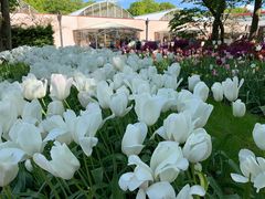 -库肯霍夫公园
