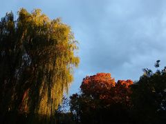 -北京石刻艺术博物馆(五塔寺)