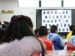 -上海昆虫博物馆