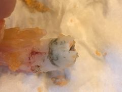 -比尔森韩式烤肉自助(国商店)