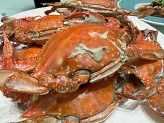 -北塘海鲜·天津菜(大光明桥旗舰店)
