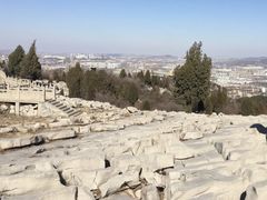 -原山国家森林公园