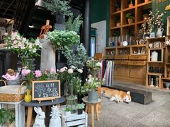 -771餐吧·咖啡·西餐·烤肉(金湖广场店)