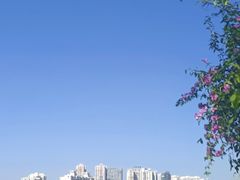 -南宁南湖公园
