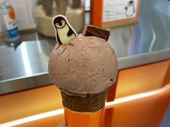 榛子巧克力冰淇淋-nama cocoa 纳摩可可(朝阳大悦城店)