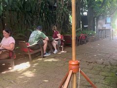 -Fern Forest Cafe