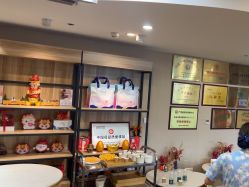 -海豚湾高端月子会所(黄浦店)