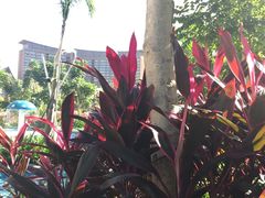 -亚马逊丛林水乐园