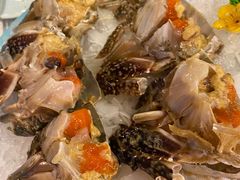 -渔娘渔家丹东海鲜(东直门店)