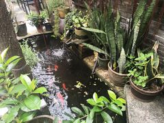 -老屋咖啡