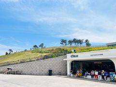-小麦岛公园