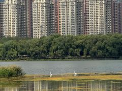 -长白岛森林公园