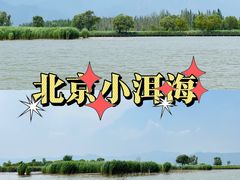 -野鸭湖国家湿地公园