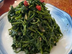 清香枸杞苗-国强手抓(北京西路店)