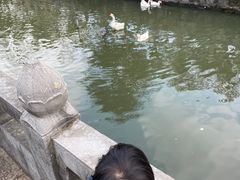 -苏州文庙(姑苏区)