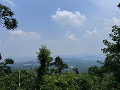 -紫金山山顶公园