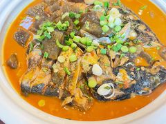 -陈厨老家菜馆(新苑店)
