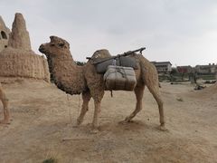 -镇北堡西部影城