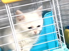 -宠爱我(南山店)