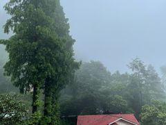 -莫干山风景区