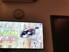 -手功王养生·足疗按摩·SPA·采耳(天府路店)