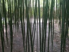 -竹泉村旅游度假区