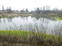 -桤木河湿地公园