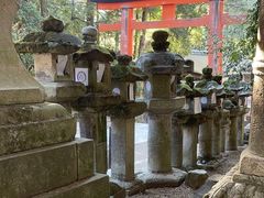 -奈良公园