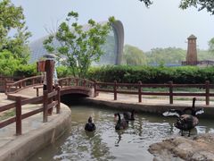 -南戴河国际娱乐中心